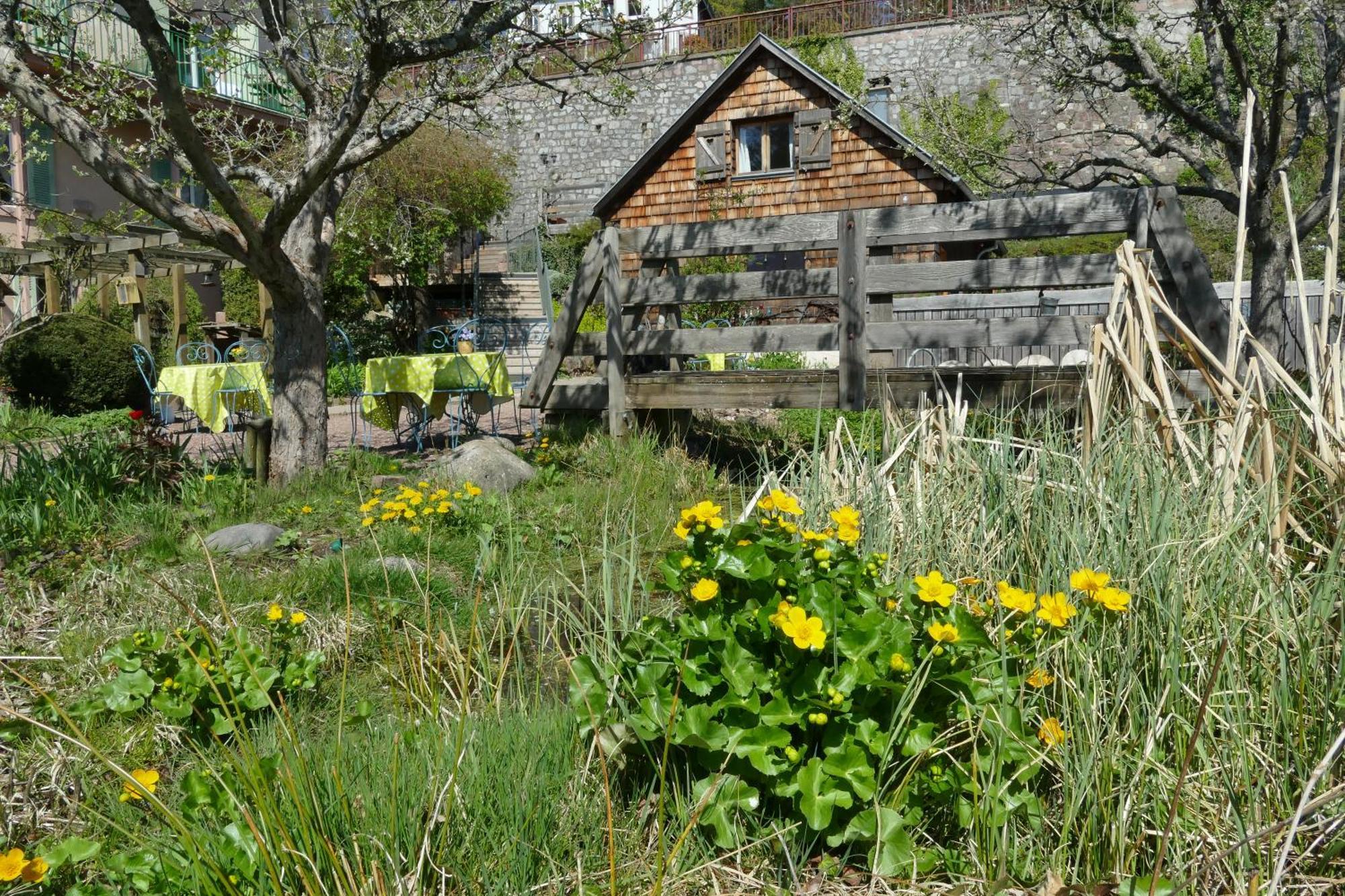 Villa Rosa Trois Epis Exteriér fotografie