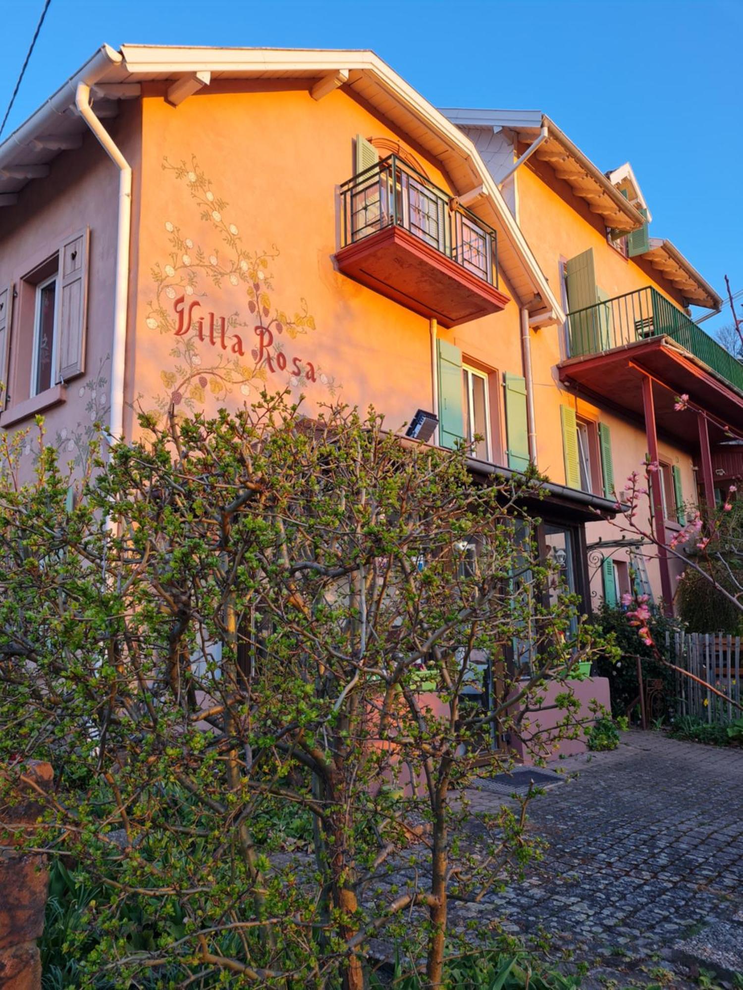 Villa Rosa Trois Epis Exteriér fotografie